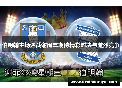 伯明翰主场迎战谢周三期待精彩对决与激烈竞争